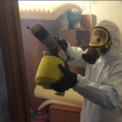 Уничтожение клопов в квартире. Наволоки